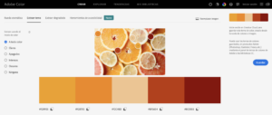Adobe Color Adobe Color