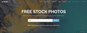 Stockvault