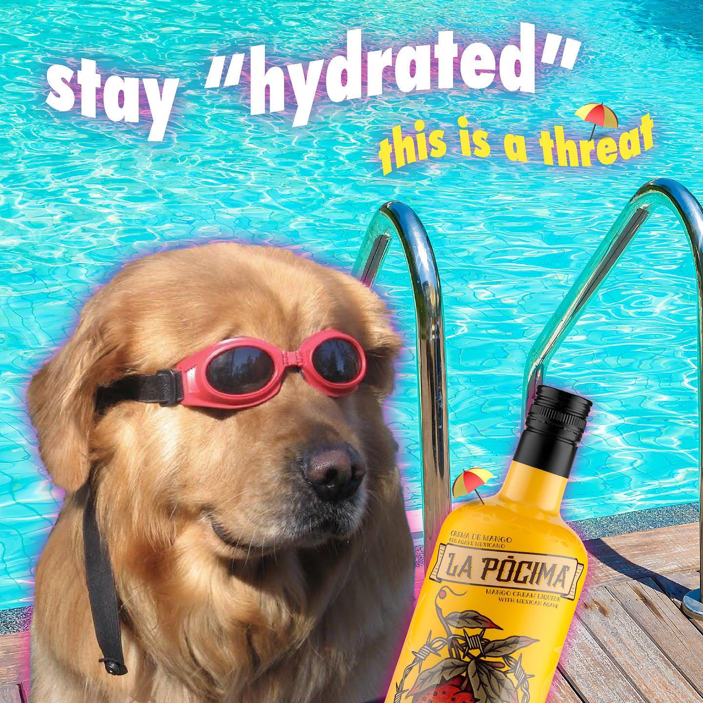 348843729_2847562885375635_2930144301400307779_n