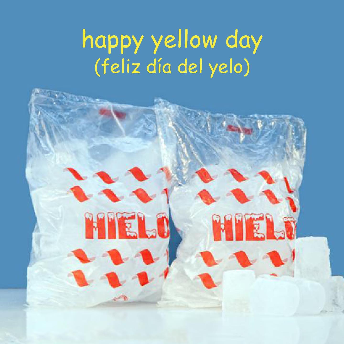 355075779_932028228052193_1078161272963650463_n